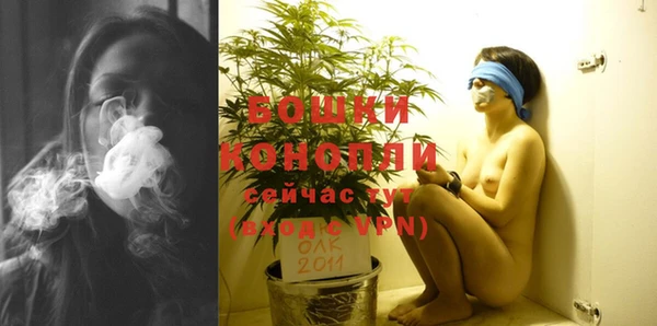 спиды Пересвет